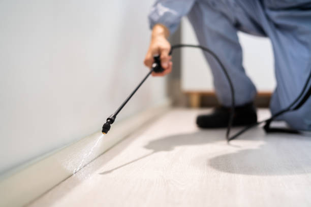 Licensed Rodent Control service in Plymouth County County, MA - Nex Pest Control