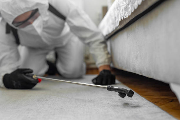 Professional Rodent Control technician working in Plymouth County County, MA